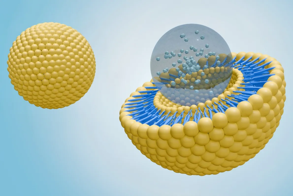 Novel Drug Delivery Systems